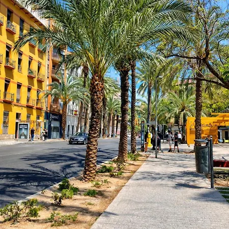 3b Piso De 1 Tordera * Alicante